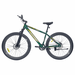Quadrant Fusion 29" – Single Speed Mountain Bicycle (Green)